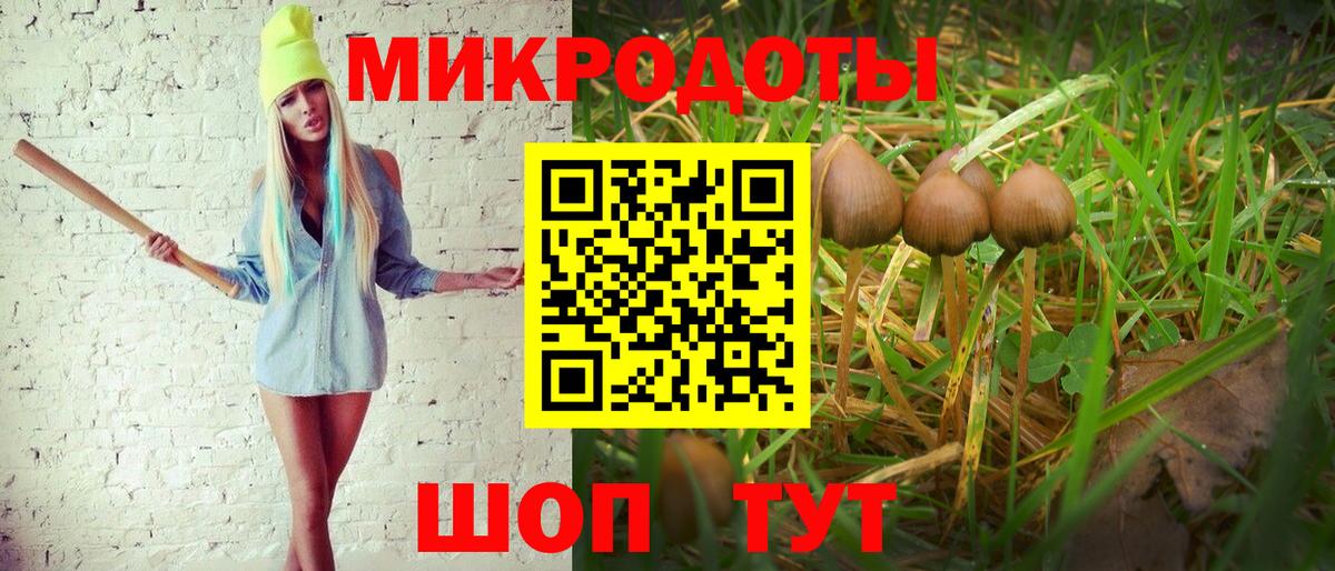 Тихвин  Псилоцибиновые грибы ЛСД  Псилоцибиновые грибы мицелий  Вход с VPN 